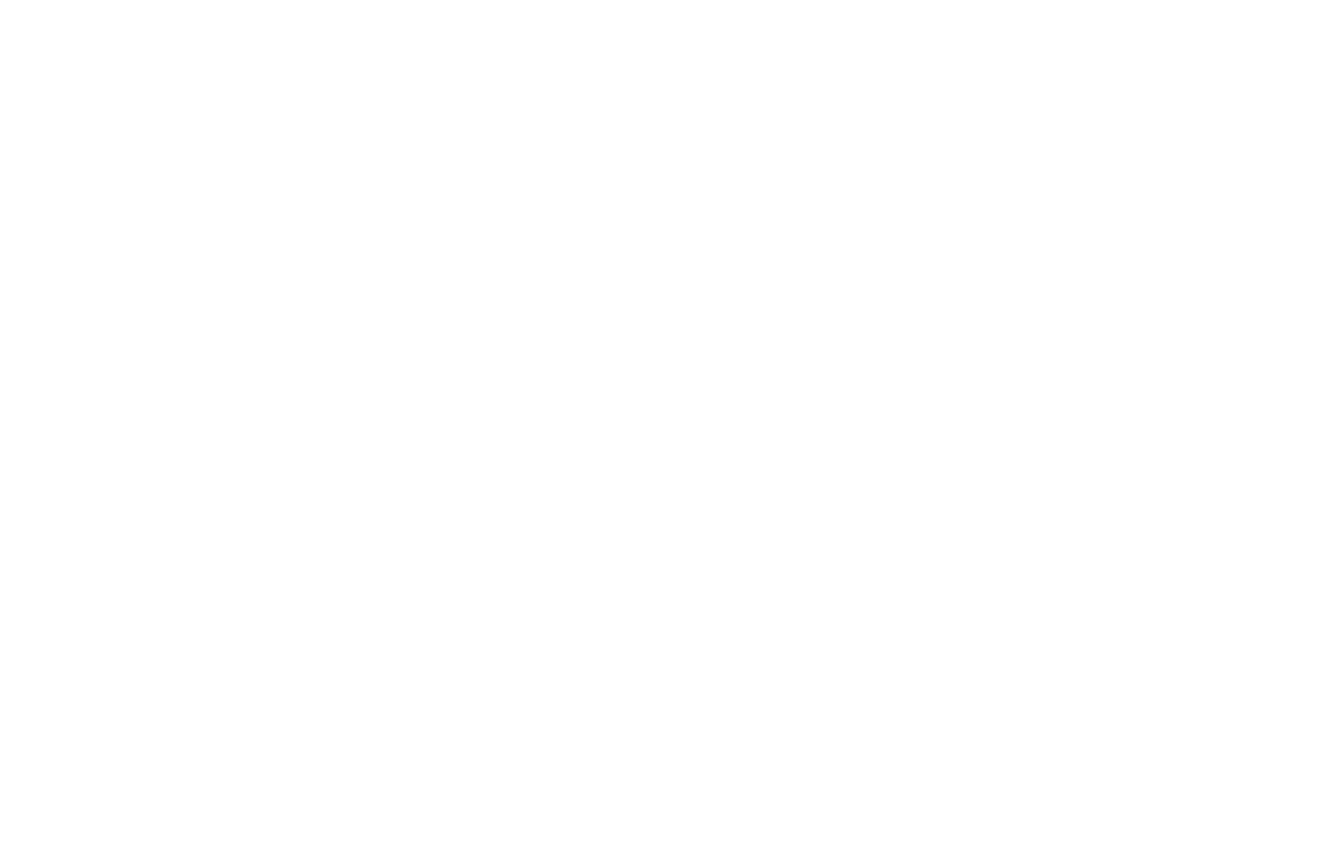 LMC b.v.